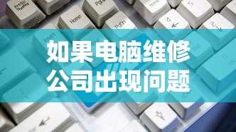 如果电脑维修公司出现问题不给进行费用报销，该如何合理维权？