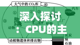 深入探讨：CPU的主要构成部分及其各自的功能和作用