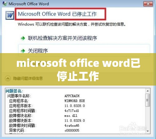 microsoft office word已停止工作