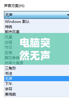 电脑突然无声是什么原因造成的？如何进行有效的问题排查与解决