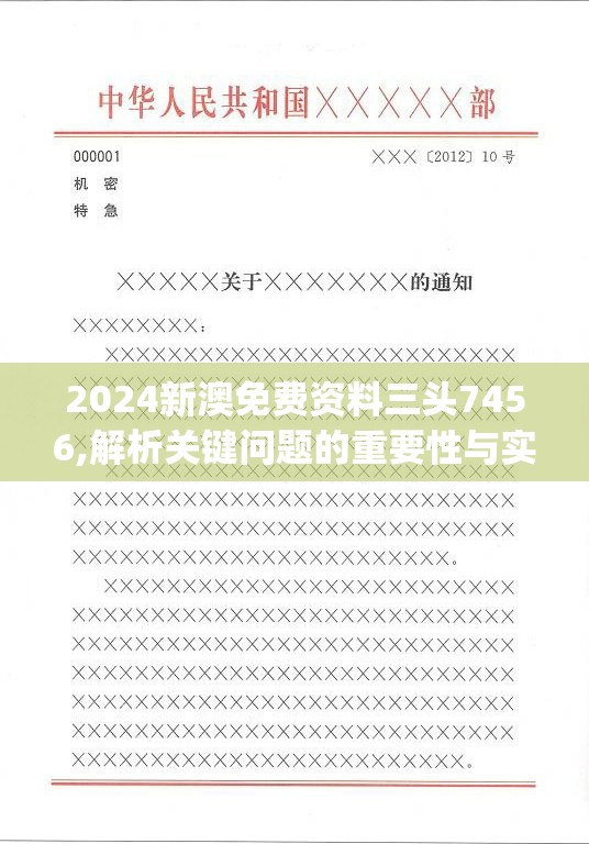 2024新澳免费资料三头7456,解析关键问题的重要性与实施策略_先锋版IPHONE.8.701