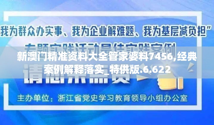 新澳门精准资料大全管家婆料7456,经典案例解释落实_特供版.6.622