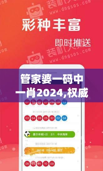 管家婆一码中一肖2024,权威数据解释落实_C版.6.695