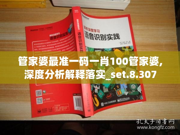 管家婆最准一码一肖100管家婆,深度分析解释落实_set.8.307