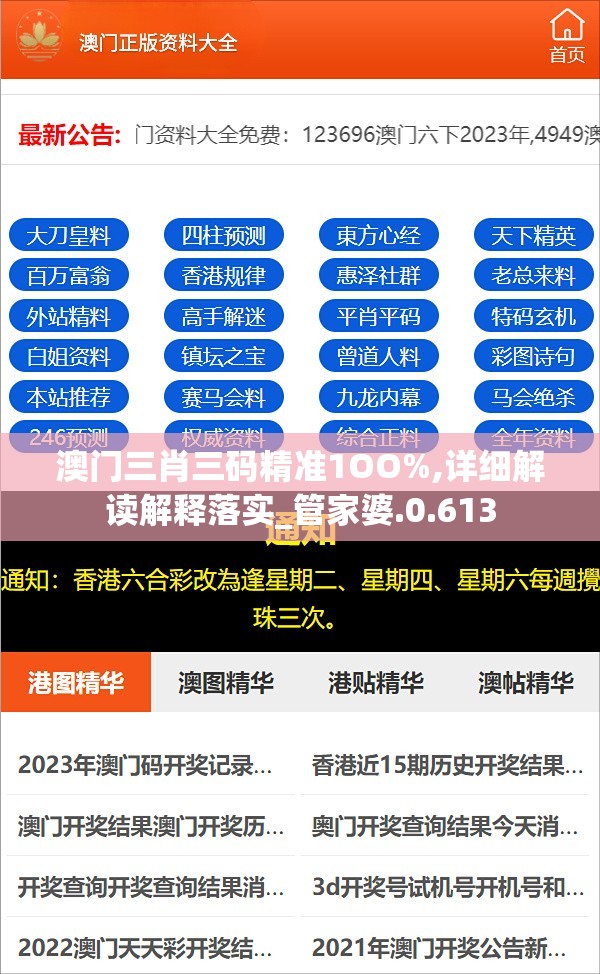 澳门三肖三码精准1OO%,详细解读解释落实_管家婆.0.613