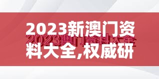 2024年澳门王中王管家婆7777788888：揭秘一场传奇的新篇章