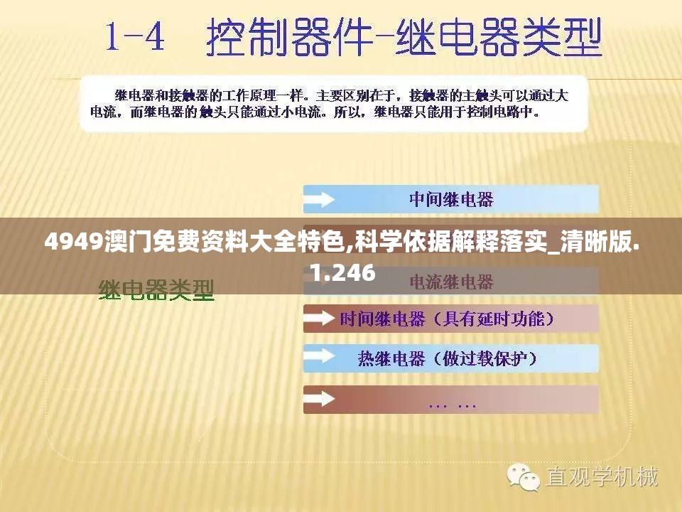 4949澳门免费资料大全特色,科学依据解释落实_清晰版.1.246