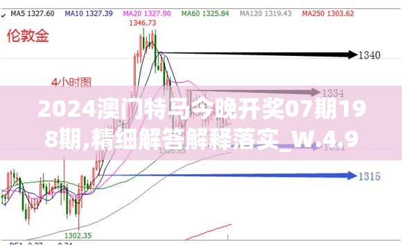 2024澳门特马今晚开奖07期198期,精细解答解释落实_W.4.993