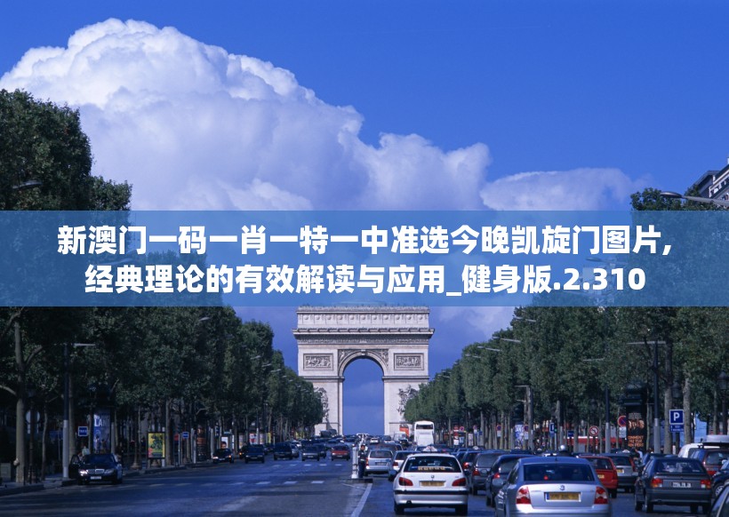 新澳门一码一肖一特一中准选今晚凯旋门图片,经典理论的有效解读与应用_健身版.2.310