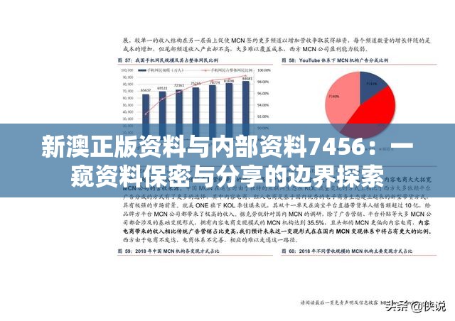 新澳正版资料与内部资料7456：一窥资料保密与分享的边界探索