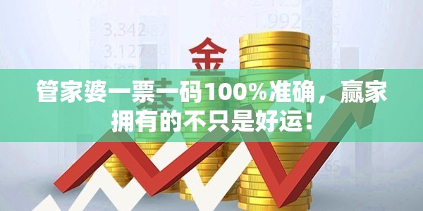 管家婆一票一码100%准确，赢家拥有的不只是好运！