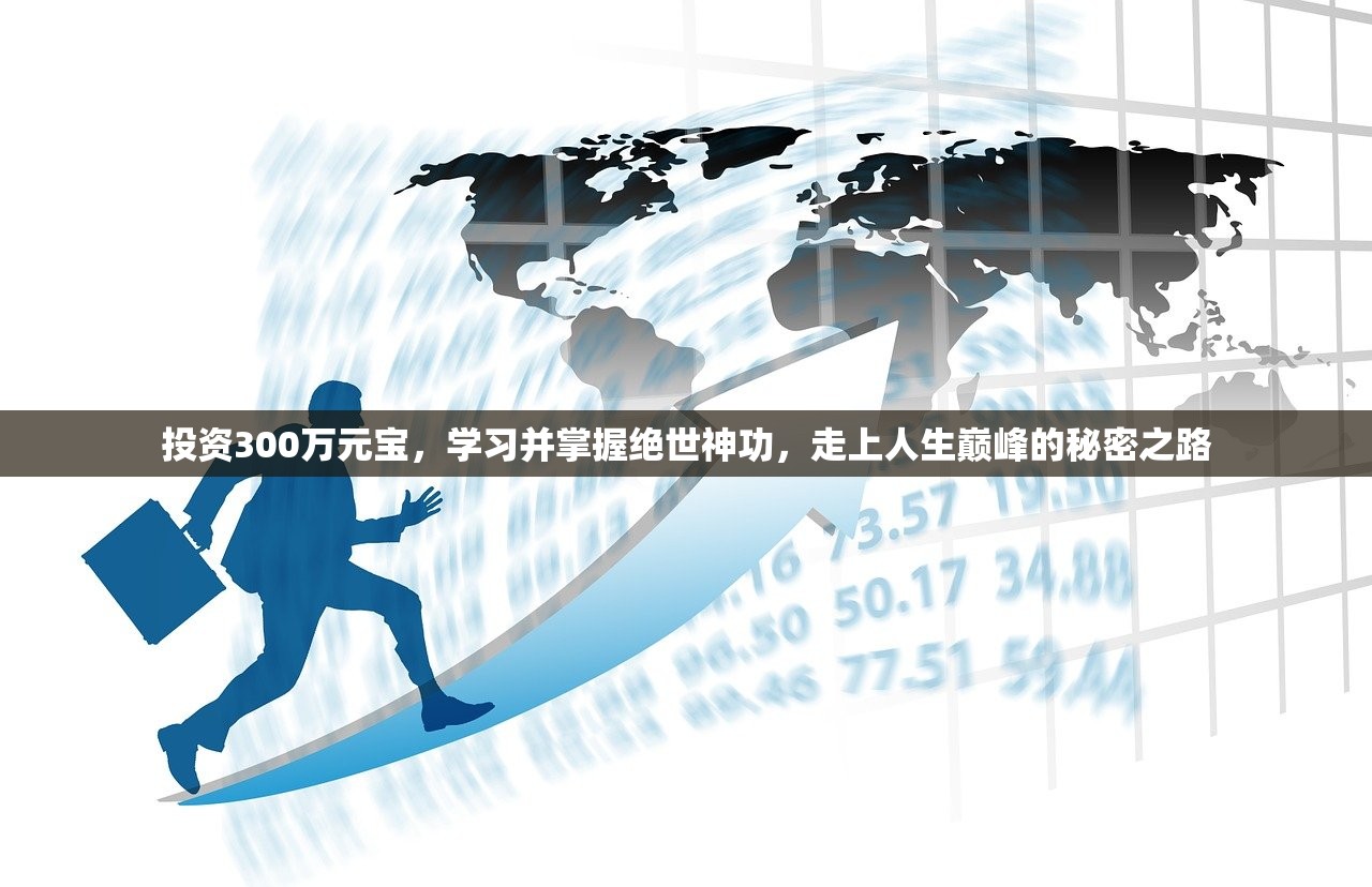 投资300万元宝，学习并掌握绝世神功，走上人生巅峰的秘密之路