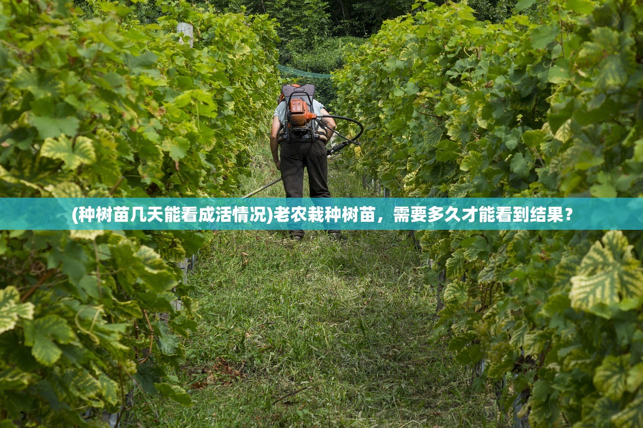 (种树苗几天能看成活情况)老农栽种树苗，需要多久才能看到结果？