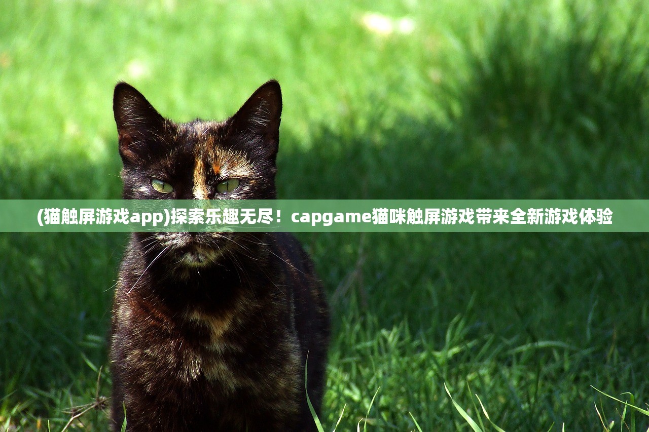 (猫触屏游戏app)探索乐趣无尽！capgame猫咪触屏游戏带来全新游戏体验