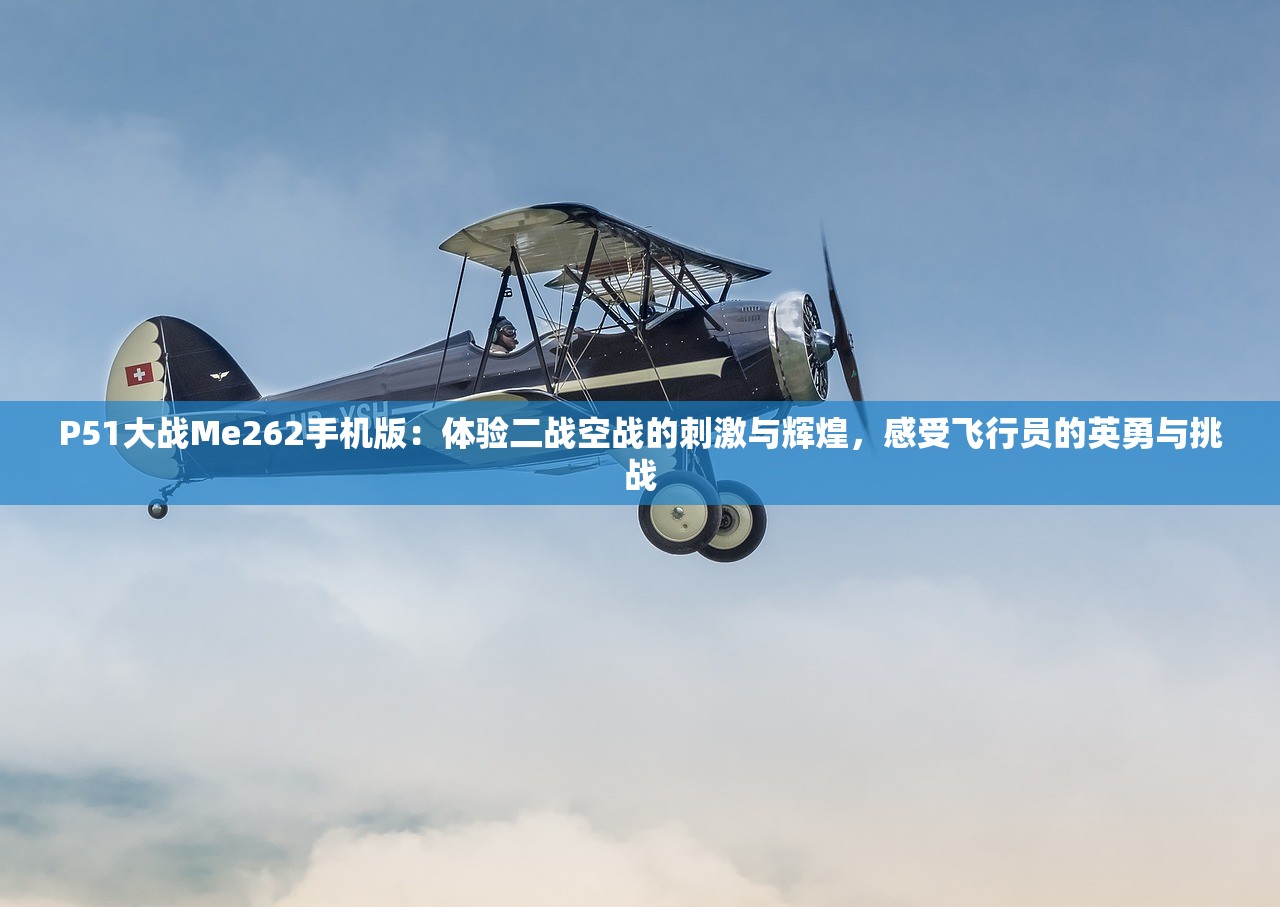 P51大战Me262手机版：体验二战空战的刺激与辉煌，感受飞行员的英勇与挑战