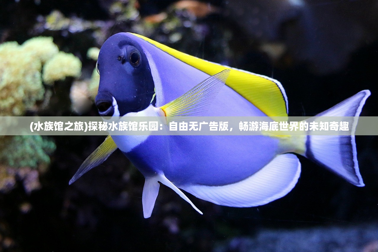 (水族馆之旅)探秘水族馆乐园：自由无广告版，畅游海底世界的未知奇趣