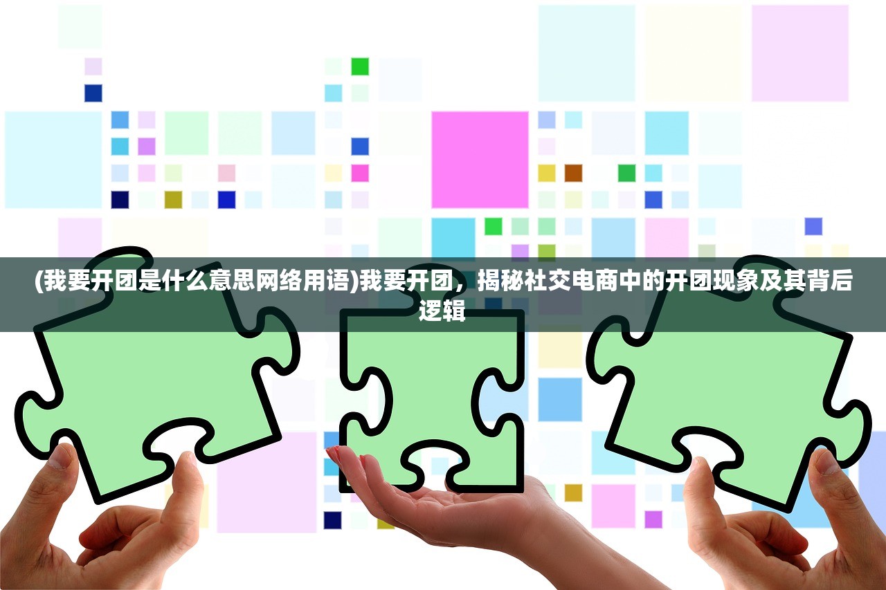 (我要开团是什么意思网络用语)我要开团，揭秘社交电商中的开团现象及其背后逻辑