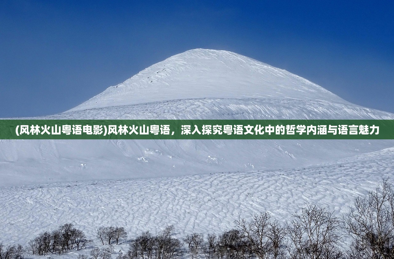 (惊天动地电影演员表)惊天动地2006，全面解析电影惊天动地演员阵容及其艺术魅力