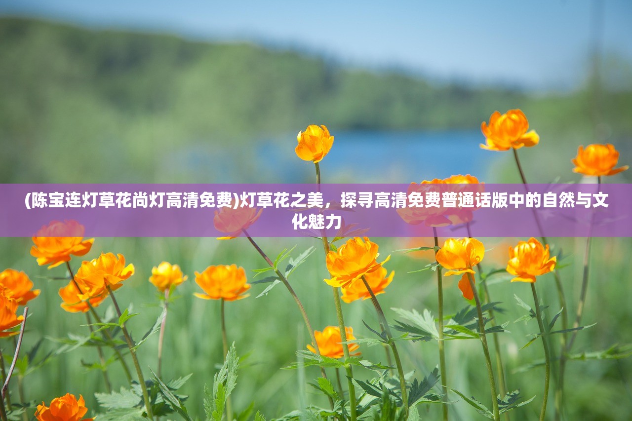 (陈宝连灯草花尚灯高清免费)灯草花之美，探寻高清免费普通话版中的自然与文化魅力