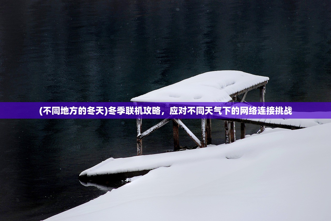 (不同地方的冬天)冬季联机攻略，应对不同天气下的网络连接挑战