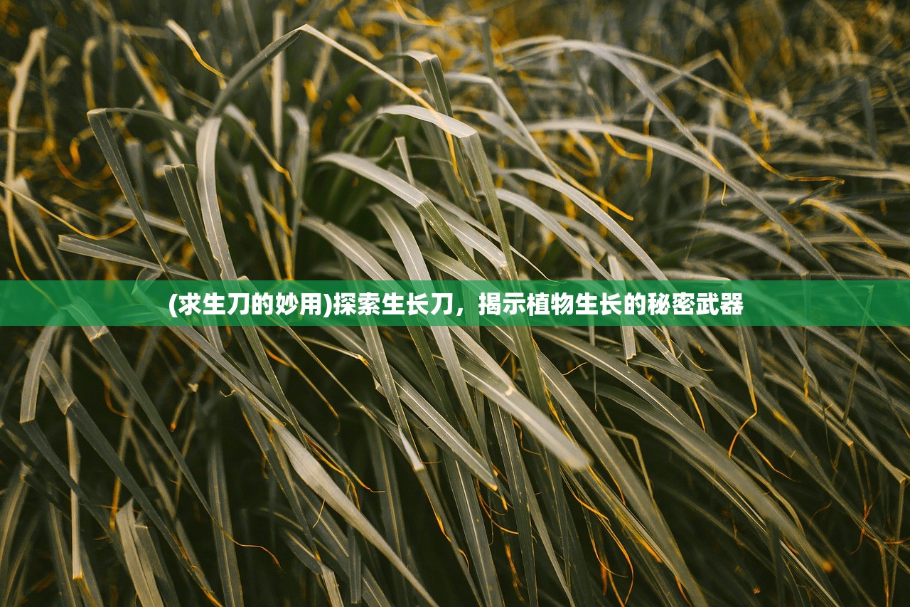 (求生刀的妙用)探索生长刀，揭示植物生长的秘密武器