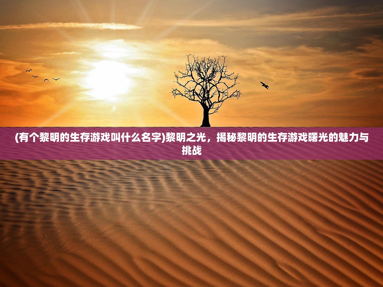 (有个黎明的生存游戏叫什么名字)黎明之光，揭秘黎明的生存游戏曙光的魅力与挑战