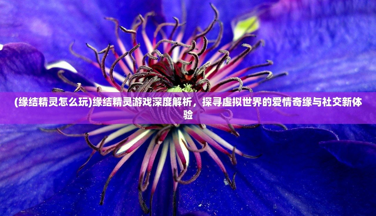 (缘结精灵怎么玩)缘结精灵游戏深度解析，探寻虚拟世界的爱情奇缘与社交新体验