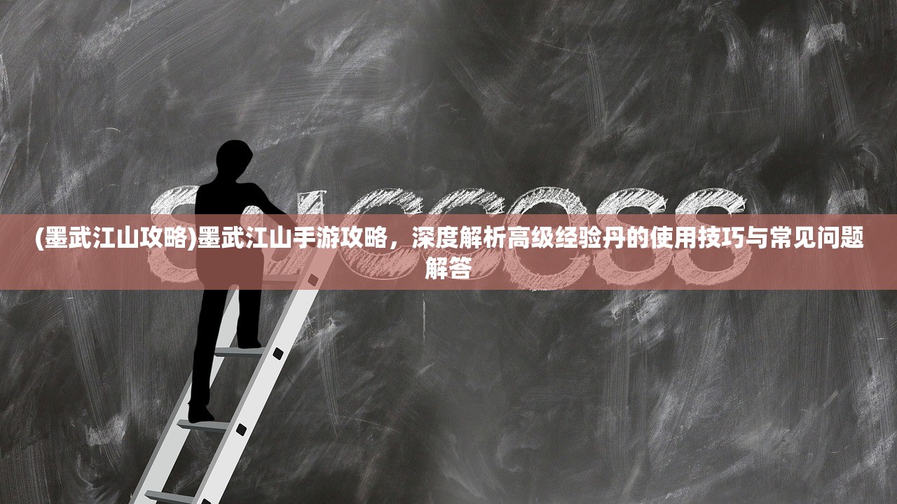 (墨武江山攻略)墨武江山手游攻略，深度解析高级经验丹的使用技巧与常见问题解答