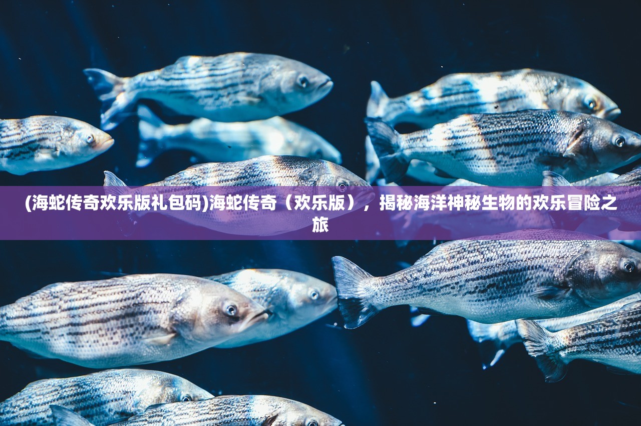 (海蛇传奇欢乐版礼包码)海蛇传奇（欢乐版），揭秘海洋神秘生物的欢乐冒险之旅