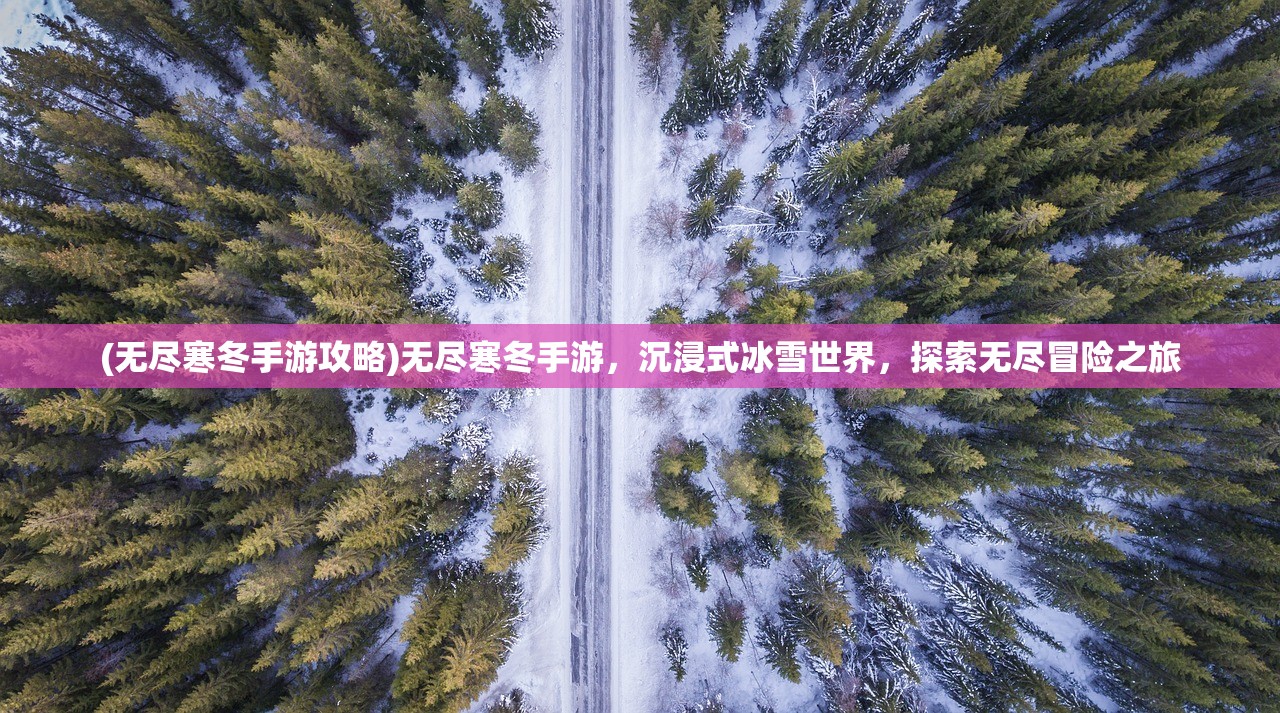 (无尽寒冬手游攻略)无尽寒冬手游，沉浸式冰雪世界，探索无尽冒险之旅