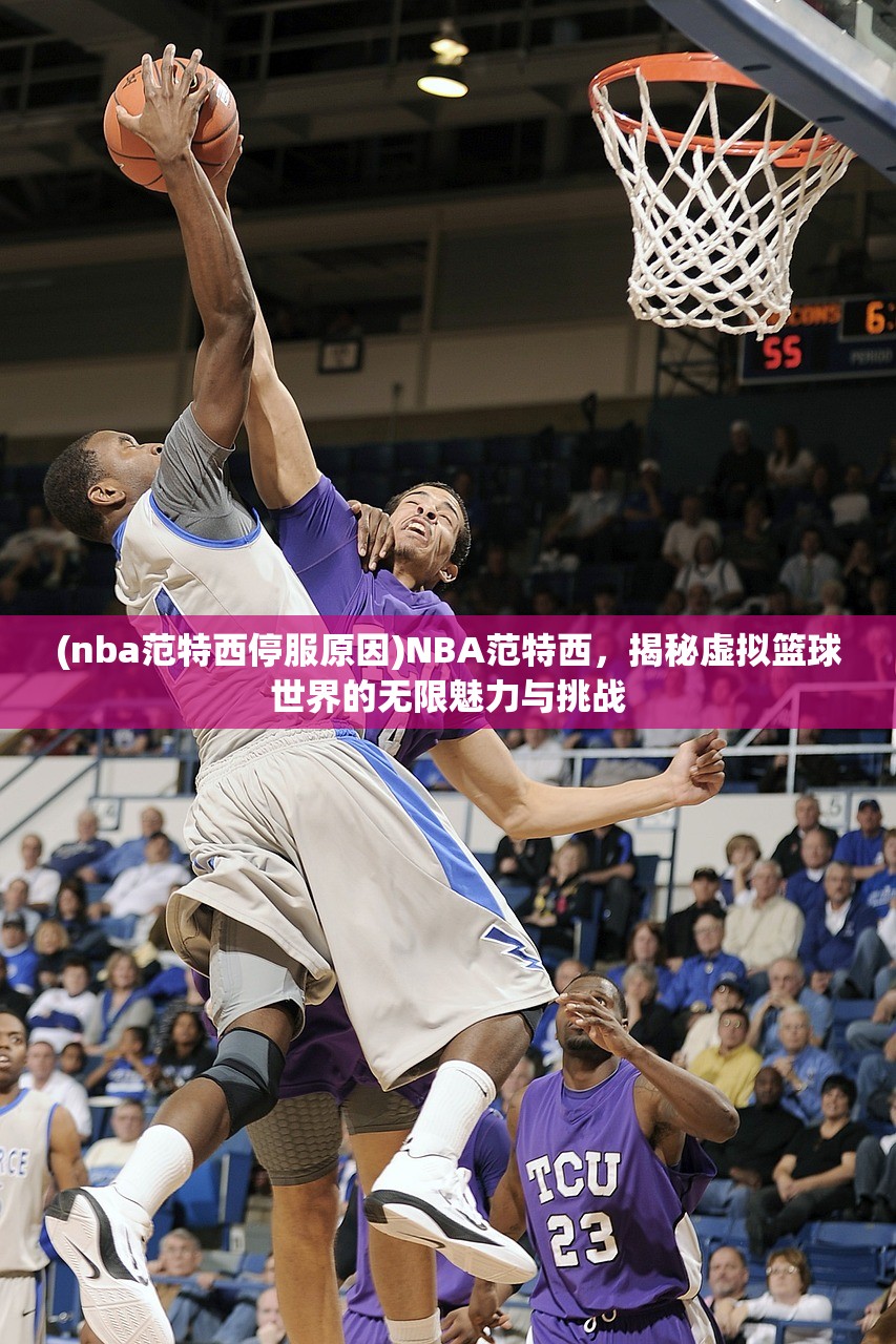 (nba范特西停服原因)NBA范特西，揭秘虚拟篮球世界的无限魅力与挑战